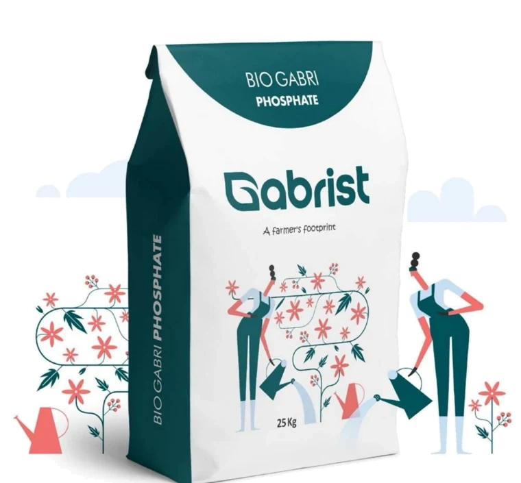 بیو فسفات گابریست، فسفر زیستی